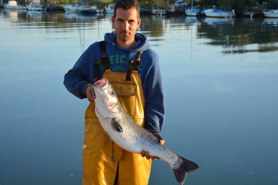 You are currently viewing Poissonnerie : Les paniers garnis du Capitaine