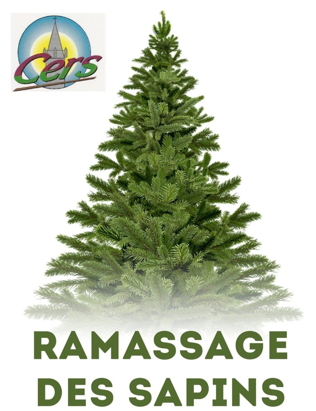 You are currently viewing Ramassage des sapins les 3 et 10 janvier
