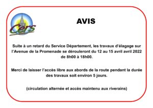 Lire la suite à propos de l’article Élagage avenue de la Promenade : nouvelle date