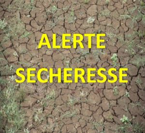 Lire la suite à propos de l’article Sécheresse : alerte renforcée