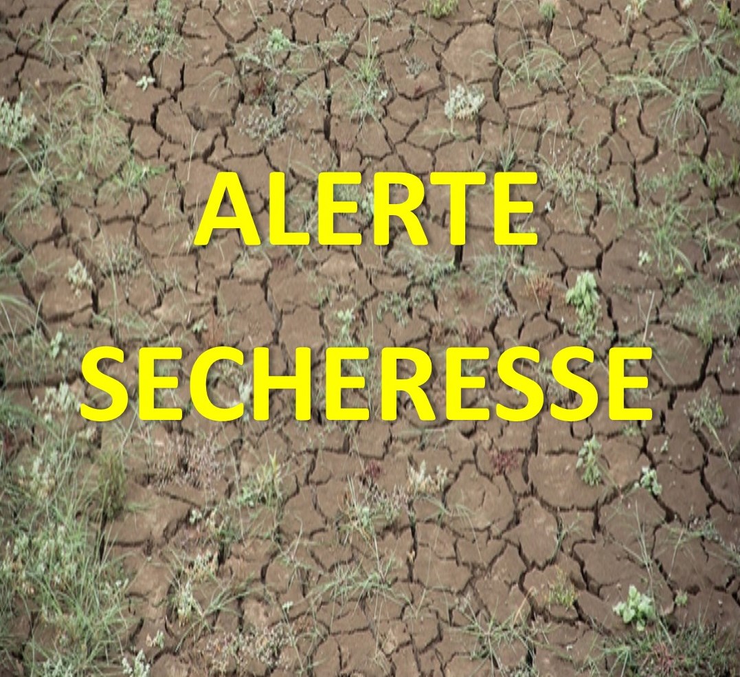 You are currently viewing Sécheresse : alerte renforcée