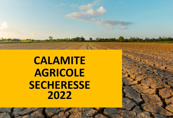 You are currently viewing Procédure calamités agricoles : températures élevées août 2022 – perte de récolte sur pommes