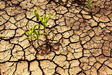 Lire la suite à propos de l’article IMPORTANT sécheresse : arrêté de restriction des usages de l’eau du 05 avril 2023