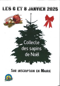Lire la suite à propos de l’article Ramassage des sapins les 6 et 8 janvier